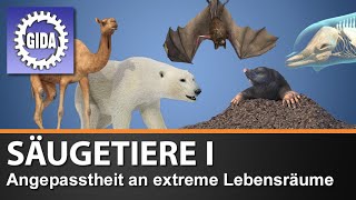 Trailer  Säugetiere I  Angepasstheit an extreme Lebensräume  Biologie  Schulfilm [upl. by Musette]