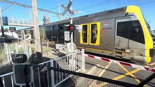 H43 amp V13 At Adamstown Station [upl. by Ahsienat230]