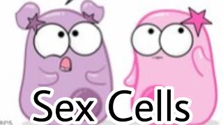 I edited The Amoeba Sisters [upl. by Lecram]