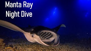 Manta Ray Night Dive  Keauhou Hawaii  May 2023 [upl. by Lydnek]