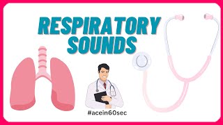 Respiratory Sounds  Abnormal Breath sounds acein60sec clinical [upl. by Refanej416]