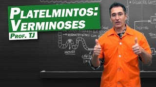 Biologia  Verminoses de Platelmintos [upl. by Airotna]