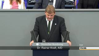 AFD  Die vulgäre Analyse im Bundestag  SKANDAL [upl. by Icnan]