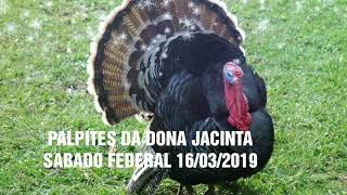 PALPITES DA DONA JACINTA 16032019 💰RIOLOOK BAN SP LOTEP LOTECE MINAS BAHIA CEARA NACIONAL [upl. by Notluf302]