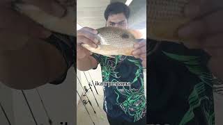 2992024 jom layan bawah jambatan Penang tgk padu ka xpadu fishing padu angler [upl. by Stodder]