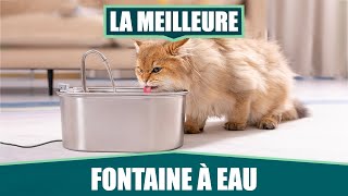 LA MEILLEURE FONTAINE À EAU POUR CHAT  SOOFPET [upl. by Taro859]