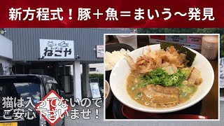 【兵庫県三木市】新しいラーメン屋『ねこや』が出来たのでランチしてきた♪ [upl. by Nerrual]