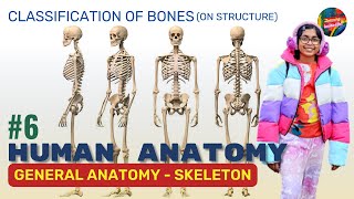 Ep6  Classification of Bones on structure  Microscopically Cancellous amp Compact bones [upl. by Geis]