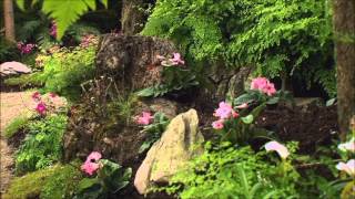 Documentary about the Royal Greenhouses of Laeken part 2 [upl. by Eener]