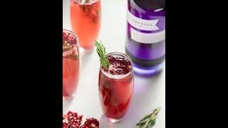 Empress 1908 Gin Pomegranate Spritz Reel [upl. by Aser]