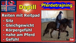 Depill Reitpad Training Tipps aus Unterricht Isländer Pferdetraining Profi Tanja Schienagel [upl. by Ithsav180]