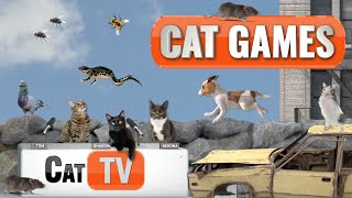 Cat Games  Whiskeropolis Takeover When Animals Rule the City 🐾  Cat TV Compilation [upl. by Holmes]