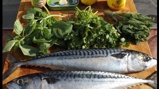 MACKERELHow To CookLine Caught Mackerel Stuffed With Salsa Verde [upl. by Wendell]