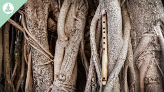 Bamboo Flute Music Asian Music Meditation Relaxing [upl. by Lemuela]