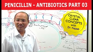 Penicillin  Antibiotics  Dr Najeeb  Part 34 [upl. by Alaaj825]