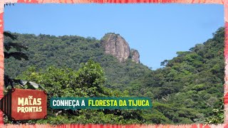 Floresta da Tijuca Conheça o parque Nacional mais visitado do Brasil  Turismo [upl. by Gustave480]