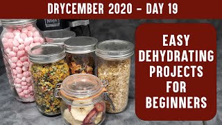 EASY DEHYDRATING PROJECTS FOR BEGINNERS Learn to Dehydrate with Easy Recipes  DRYCEMBER [upl. by Magnusson]