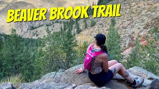 Beaver Brook Trail Colorados Best Hiking Trail [upl. by Merle121]