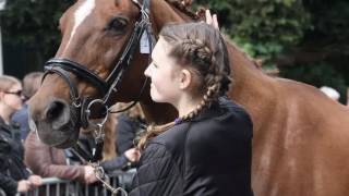 Paardenmarkt Beusichem 2016 [upl. by Elauqsap]