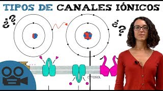 Canales iónicos  Tipos y resumen para estudiar [upl. by Silvester125]