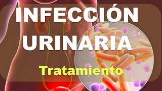 Infección Urinaria Tratamiento Explicación [upl. by Genaro600]