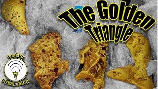 371000 Gold Nugget from Australia [upl. by Caleb123]