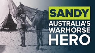 ANZAC DAY TRIBUTE  SANDY AUSTRALIAS WORLD WAR 1 WARHORSE [upl. by Amsa588]