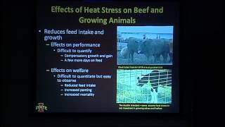 Lameness In Dairy Cattle Causes and Consequences [upl. by Perretta891]