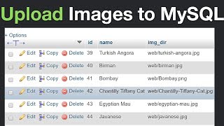 How to Insert Images to MySQL and Display Them Using PHP [upl. by Neladgam]