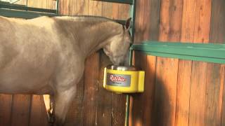 Help maintain your horses health with Ritchie automatic waterers [upl. by Ahsinej986]