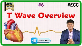 6 T Wave Overview  ECG assessment and ECG interpretation made easy [upl. by Ronald140]