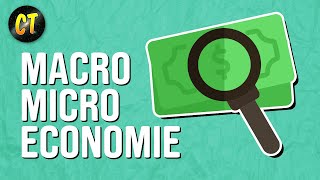 Économie  La différence entre la microéconomie et la macroéconomie [upl. by Sapphire]