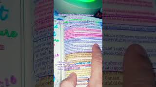 THE BOW AND GODS EVERLASTING COVENANT CHRONOLOGICAL BIBLE READING 10 GENESIS 9 [upl. by Horne]