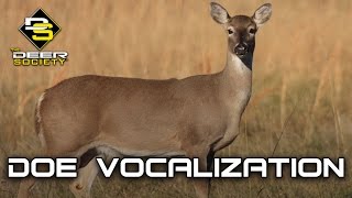 Doe Vocalizations [upl. by Heimer]