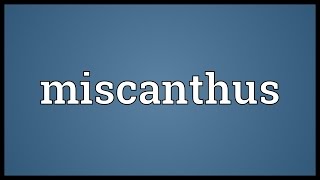 Miscanthus Meaning [upl. by Hachman]