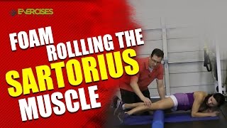 Foam Rollling the Sartorius Muscle [upl. by Kcirdnekal]