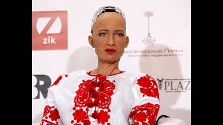 Meet Sophia The Humanoid Robot Changing the World [upl. by Aihset]