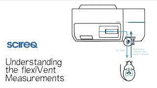 Understanding the flexiVent Measurements [upl. by Aiht]