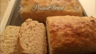 Easy Peasant Bread [upl. by Pretrice]