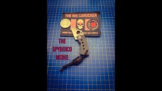 A Look at The Spyderco McBeeThe Buzz is Real [upl. by Borlase]