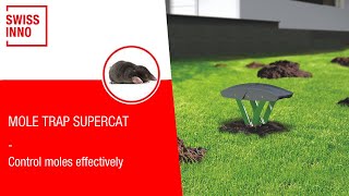 Mole Trap SuperCat SWISSINNO [upl. by Dunstan]