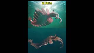 💎 El ANOMALOCARIS  El Primer Gran DEPREDADOR 🌎 [upl. by Ynattirb]