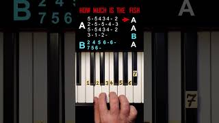 Scooter  How much is the Fish Easy Piano Tutorial [upl. by Rayford]