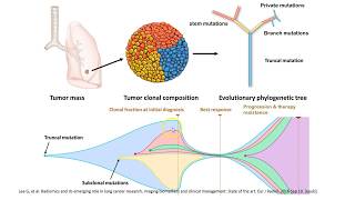 Multiparametric Imaging of Tumor Biology [upl. by Fiden793]