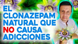 Esta FLOR es como el CLONAZEPAM pero NATURAL [upl. by Culbertson]