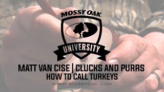 Matt Van Cise  Clucks and Purrs on a Pot Call [upl. by Claudie58]