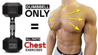 Chest Workout With Dumbbells  Fitness Coach [upl. by Nivad]