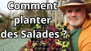 Comment Cultiver des Salades Comme Mon GrandPère [upl. by Tocs871]