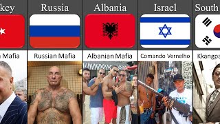 Comparison Mafia From Different Countries [upl. by Okeim]