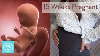 15 Weeks Pregnant What You Need To Know  Channel Mum [upl. by Coppins]